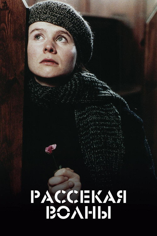 Постер фильма «Рассекая волны»