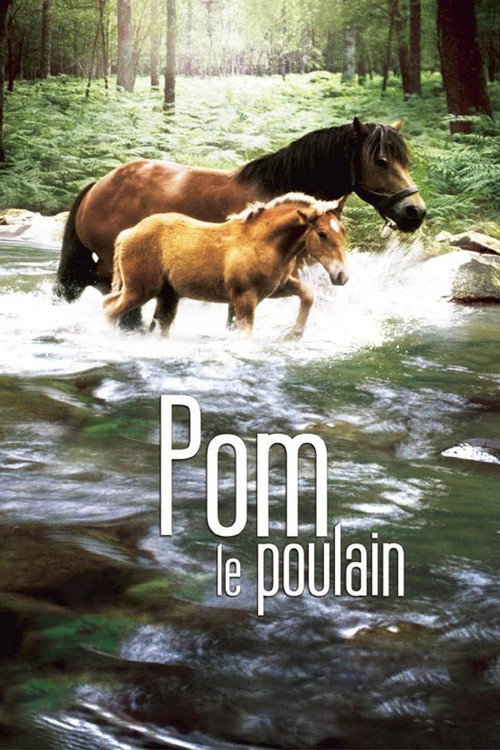 Постер фильма «Pom, le poulain»