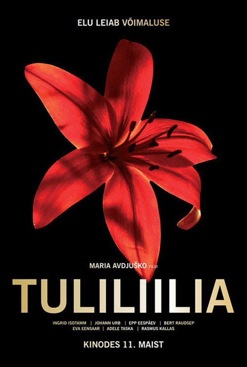 Постер фильма «Tuliliilia»