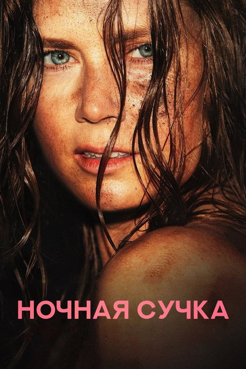 Постер фильма «Ночная сучка»