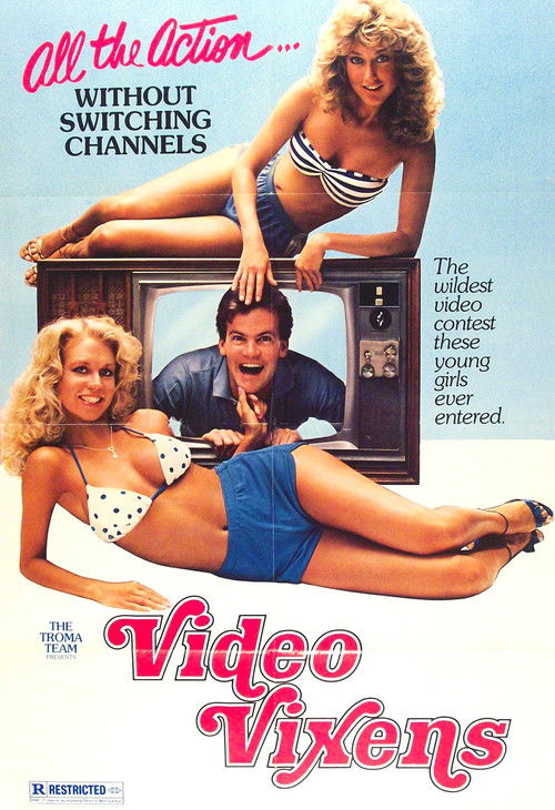 Постер фильма «Video Vixens!»