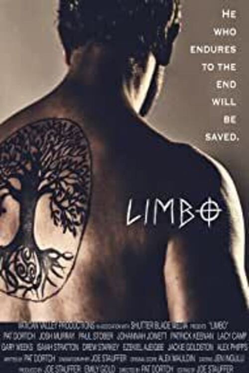 Постер фильма «Limbo»