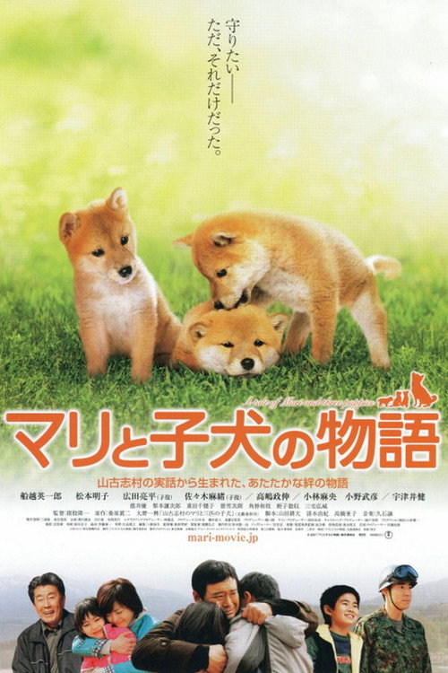 Постер фильма «マリと子犬の物語»