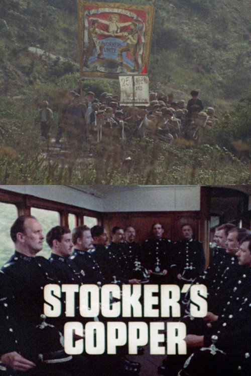 Постер фильма «Stocker's Copper»