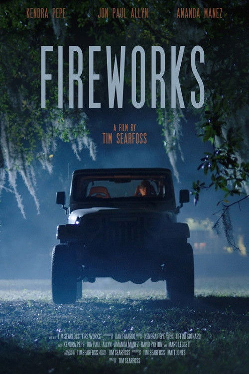 Постер фильма «Fireworks»
