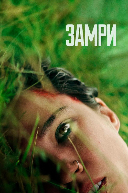 Постер фильма «Замри»