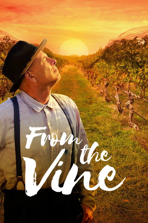 Постер фильма «From the Vine»