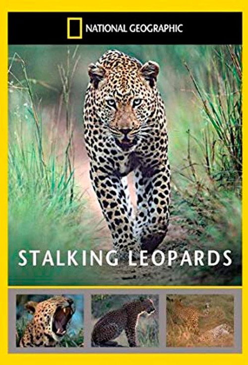 Постер фильма «Stalking Leopards»