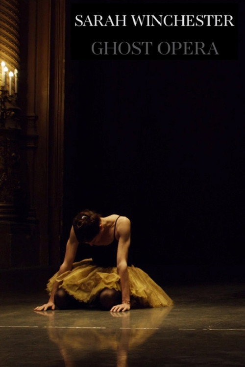 Постер фильма «Sarah Winchester, opéra fantôme»