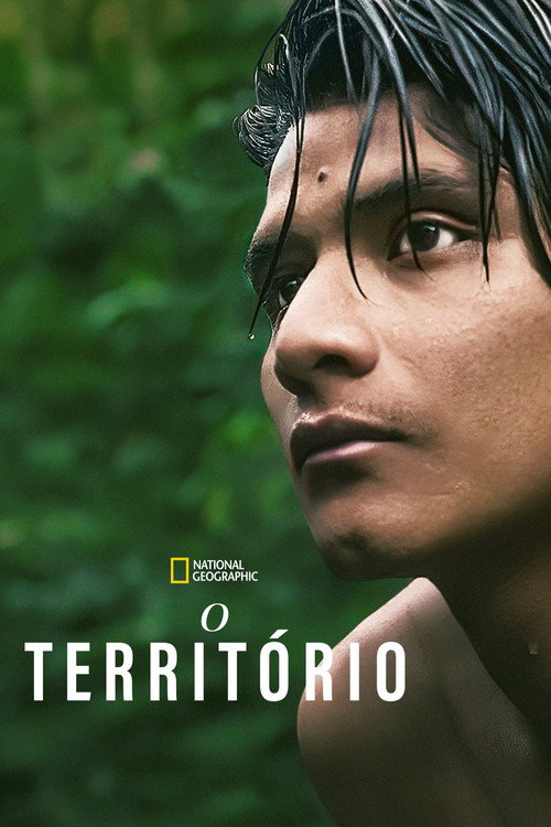 Постер фильма «The Territory»