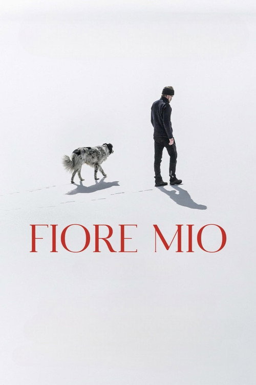 Постер фильма «Fiore mio»