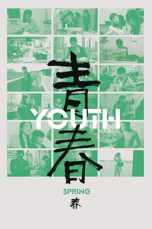 Постер фильма «青春（春）»