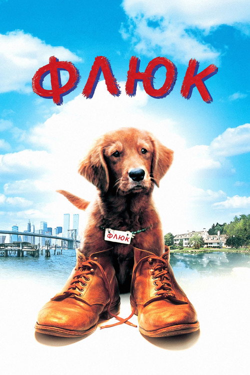 Постер фильма «Флюк»