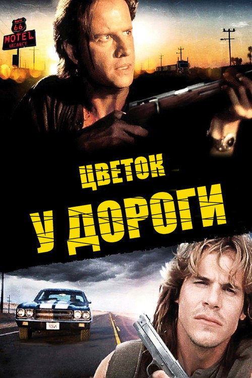 Постер фильма «Цветок у дороги»
