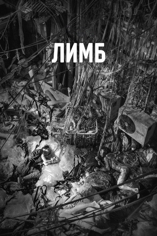 Постер фильма «Лимб»