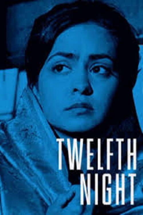 Постер фильма «Twelfth Night, or What You Will»