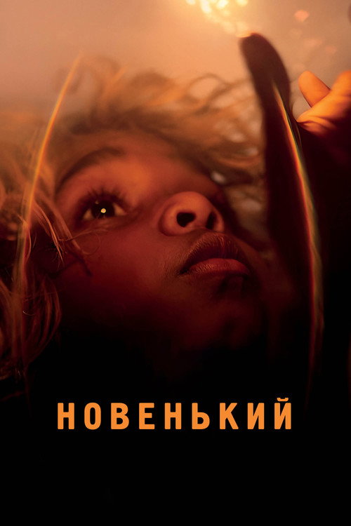 Постер фильма «Новенький»