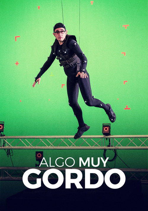 Постер фильма «Algo muy gordo»