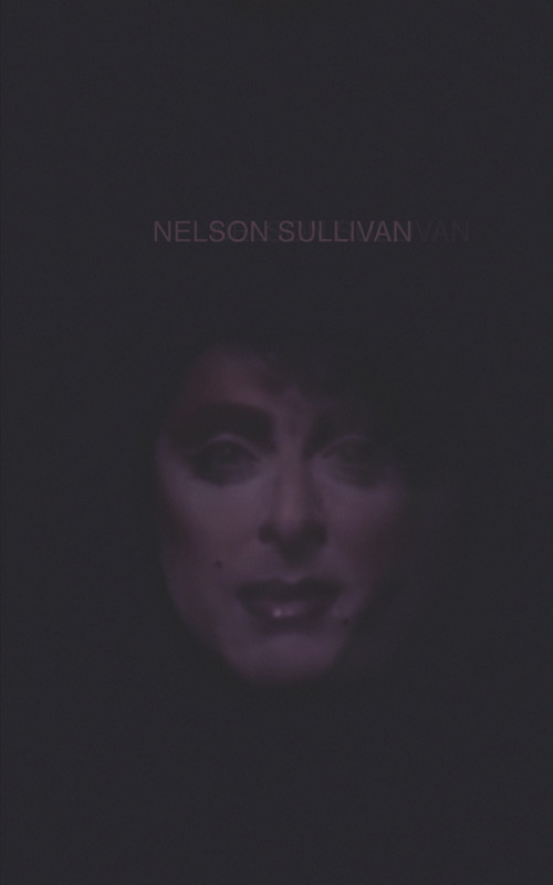 Постер фильма «Nelson Sullivan»