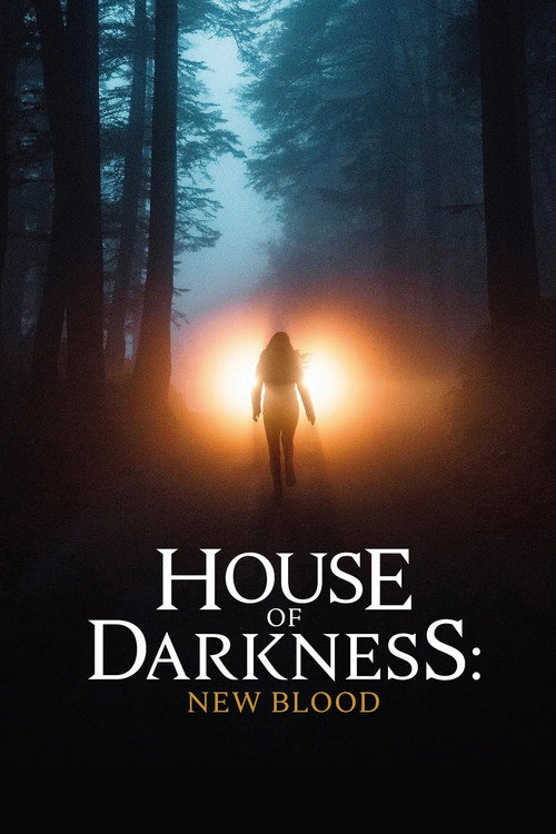Постер фильма «House of Darkness: New Blood»