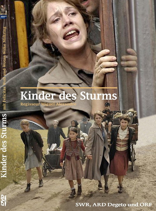 Постер фильма «Kinder des Sturms»