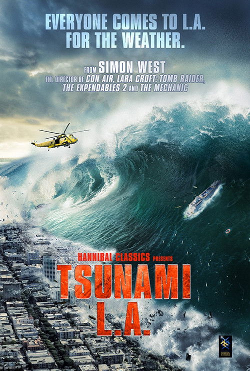 Постер фильма «Tsunami LA»