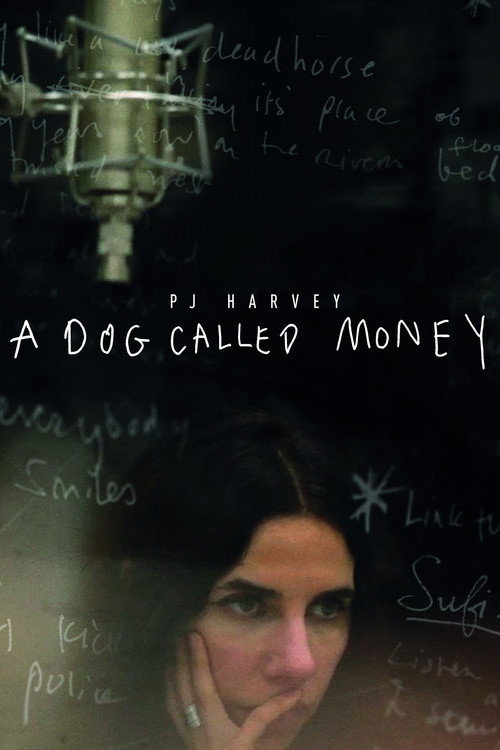 Постер фильма «Пи Джей Харви: A Dog Called Money»