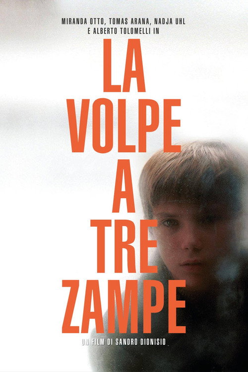 Постер фильма «La volpe a tre zampe»