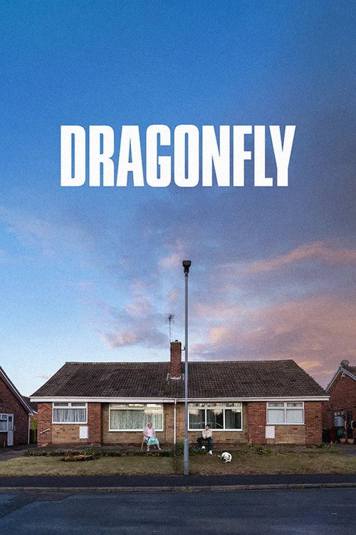 Постер фильма «Dragonfly»