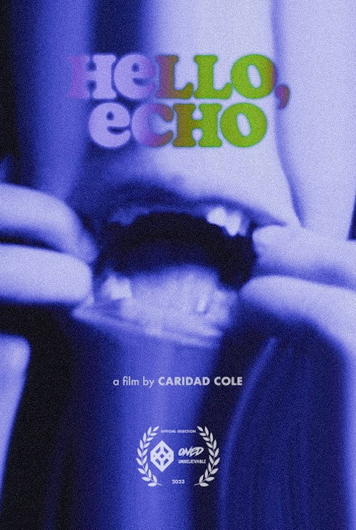 Постер фильма «Hello, Echo»