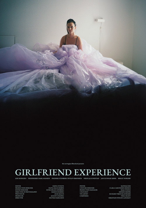 Постер фильма «Girlfriend Experience»