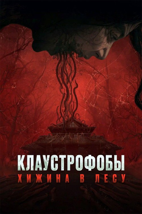 Постер фильма «Клаустрофобы: Хижина в лесу»