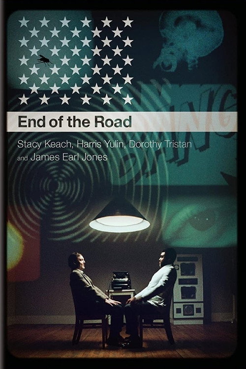 Постер фильма «An Amazing Time: A Conversation About End of the Road»