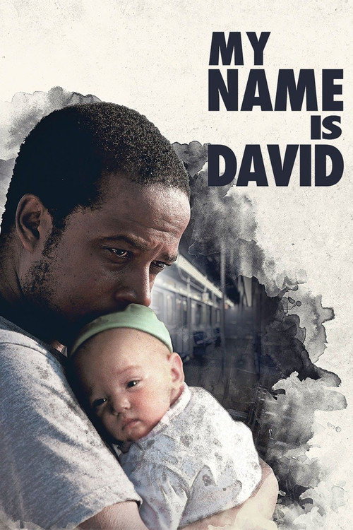Постер фильма «My Name Is David»