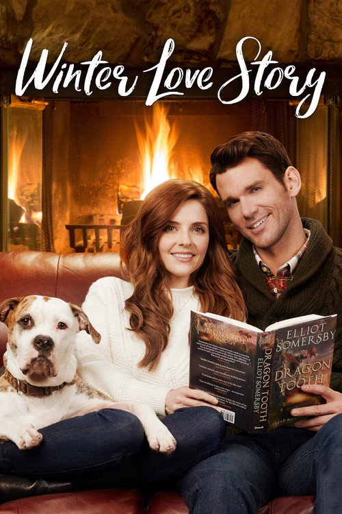 Постер фильма «Winter Love Story»