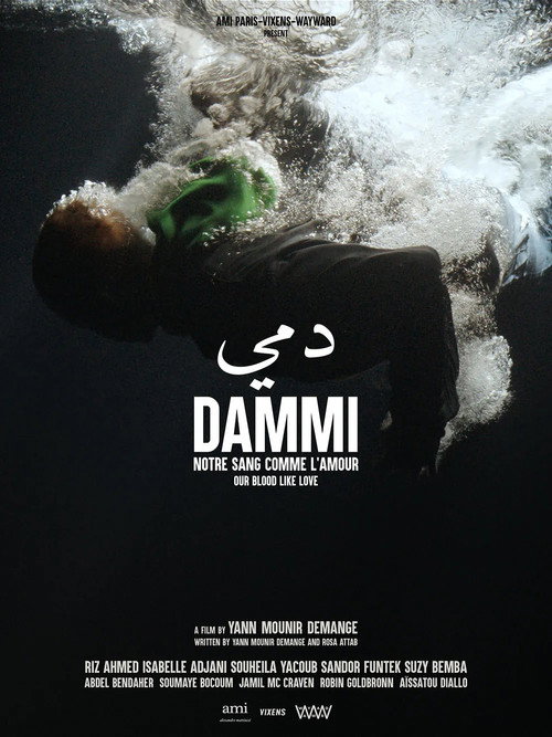 Постер фильма «Dammi»