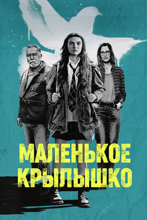 Постер фильма «Маленькое крылышко»