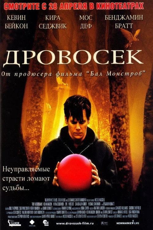 Постер фильма «Дровосек»
