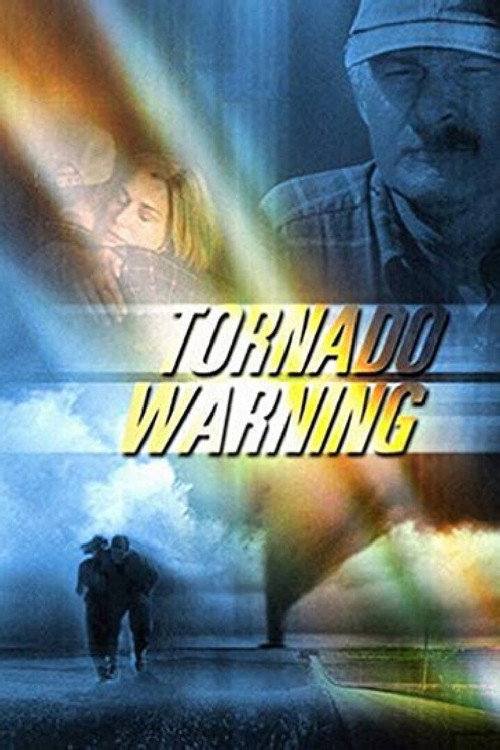 Постер фильма «Идеальный торнадо»