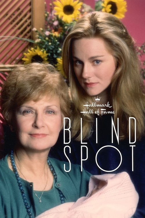 Постер фильма «Blind Spot»