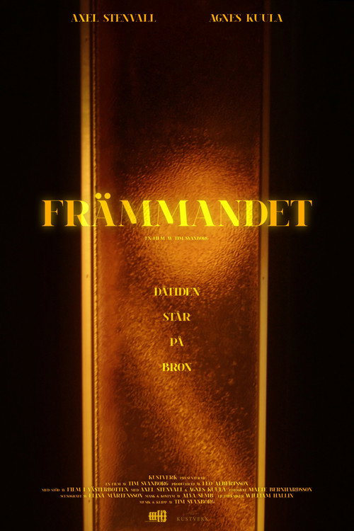 Постер фильма «Främmandet»