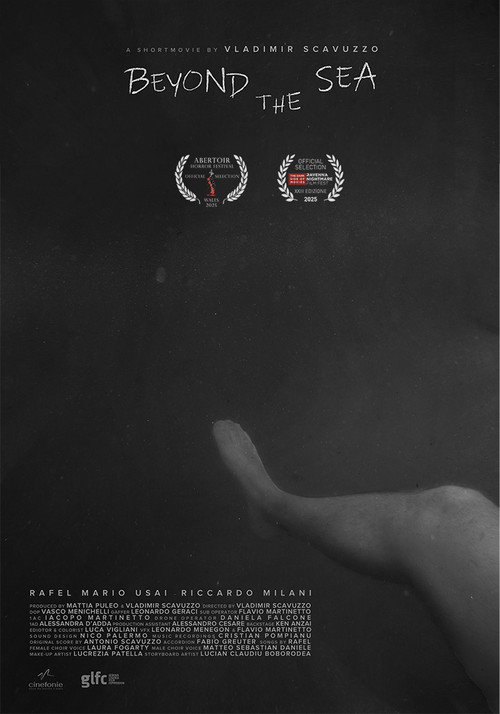 Постер фильма «Beyond the Sea»
