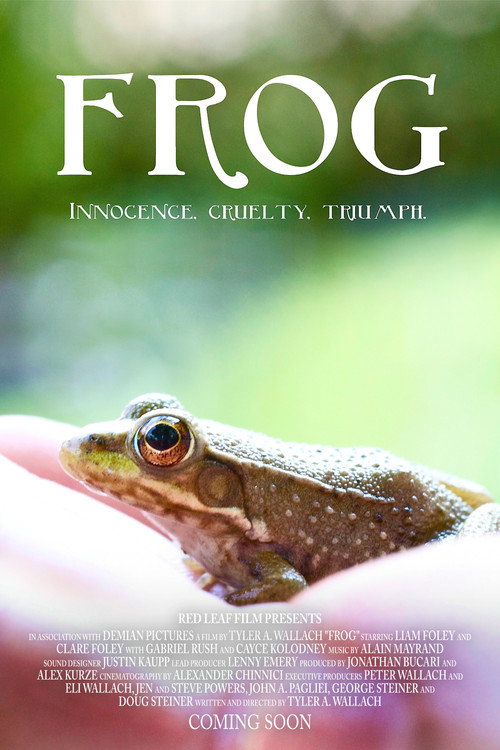 Постер фильма «Frog»