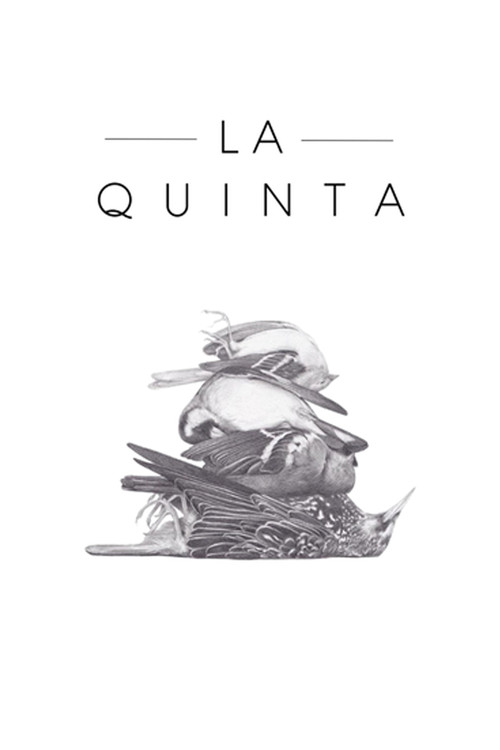 Постер фильма «La quinta»