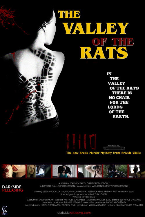 Постер фильма «Valley of the Rats»