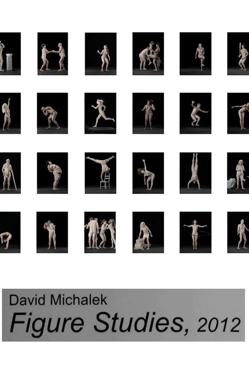 Постер фильма «Figure Studies»