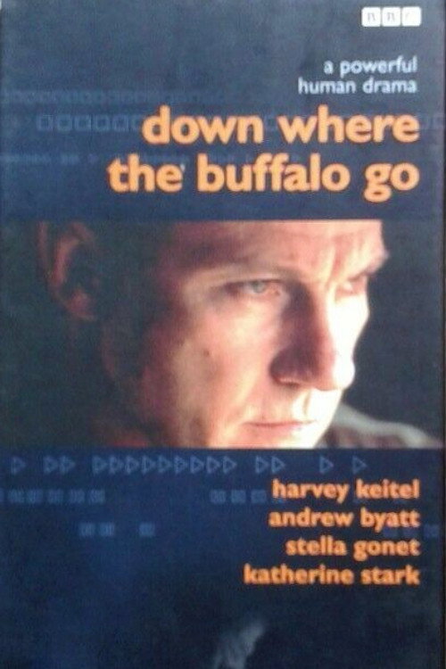 Постер фильма «Down Where the Buffalo Go»