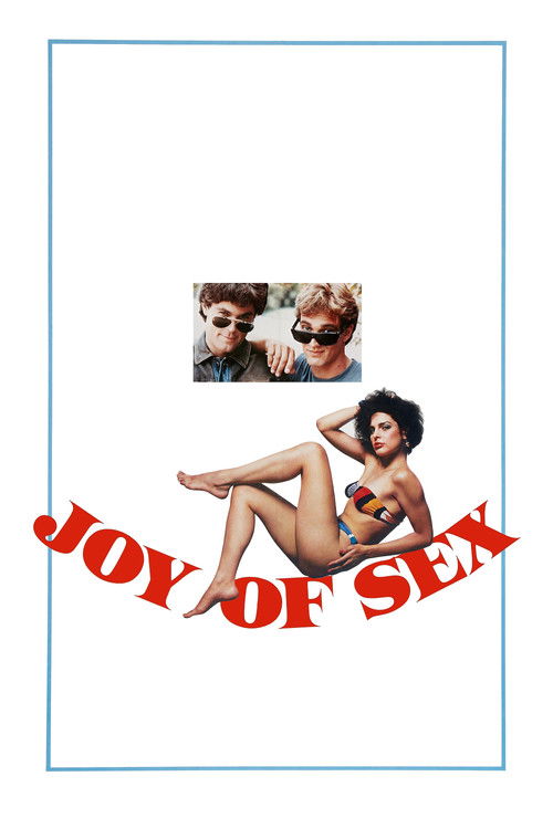 Постер фильма «Joy of Sex»