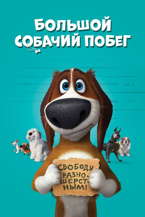 Постер фильма «Большой собачий побег»