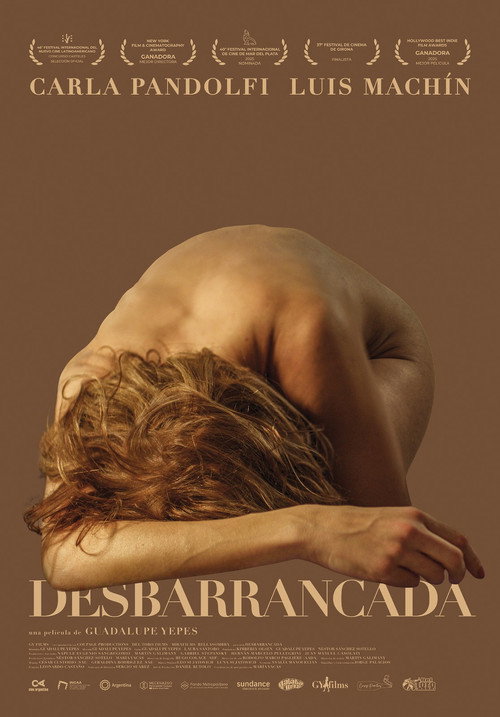 Постер фильма «В пропасть»